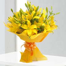 Asiatic Lilies - Bunch of 8 Yellow Asiatic Lilies in paper packing